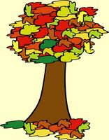 Mijn boom - kleurplaat
